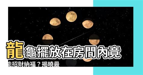 龍龜可以放房間嗎|房間可以放龍龜嗎？